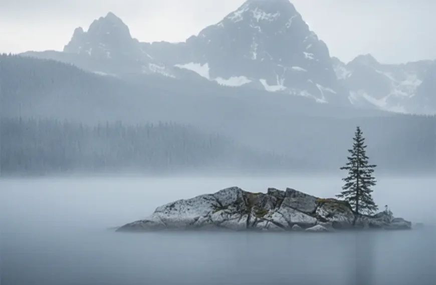 Self-Healing Materials: The Next Frontier for Durable Soft…